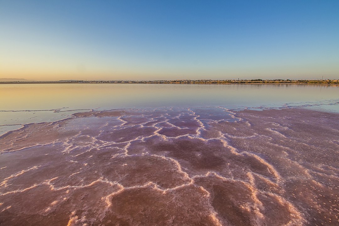 Parc Natural de Las Lagunas de La Mata y Torrevieja