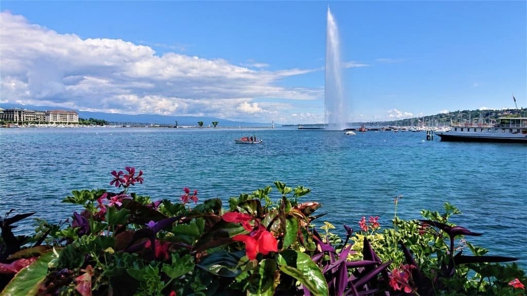 Plomberie Jet D'eau 2020