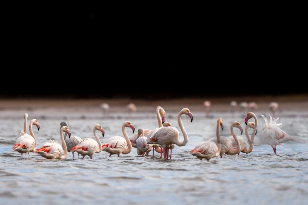 Souss-Massa National Park