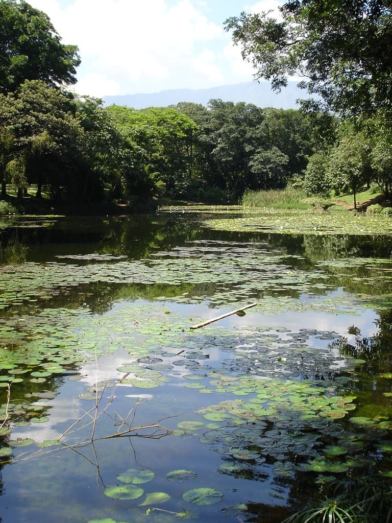 Jardín Botánico de Medellín
