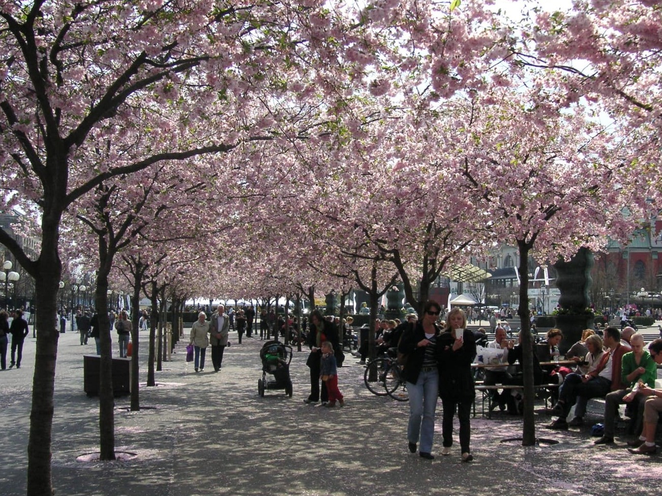 Kungsträdgården