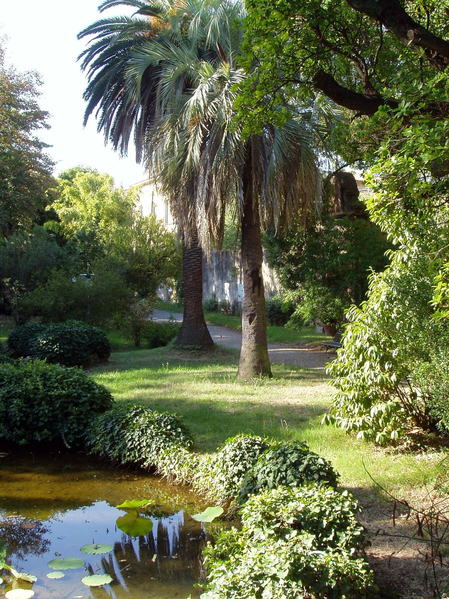 Botanischer Garten von Pisa