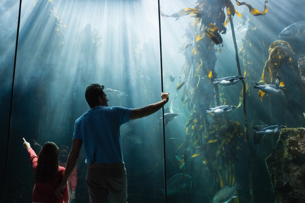 The Florida Aquarium