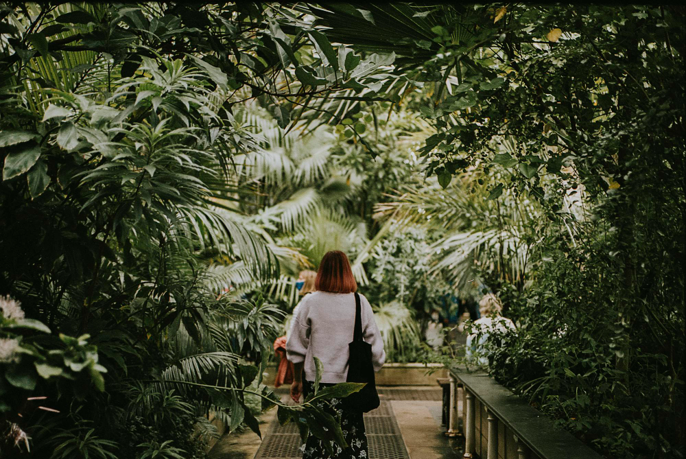 Botanical Garden