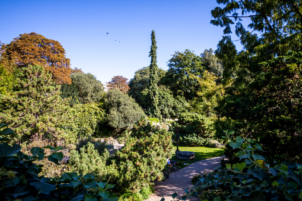Orto Botanico dell'Università degli Studi di Palermo