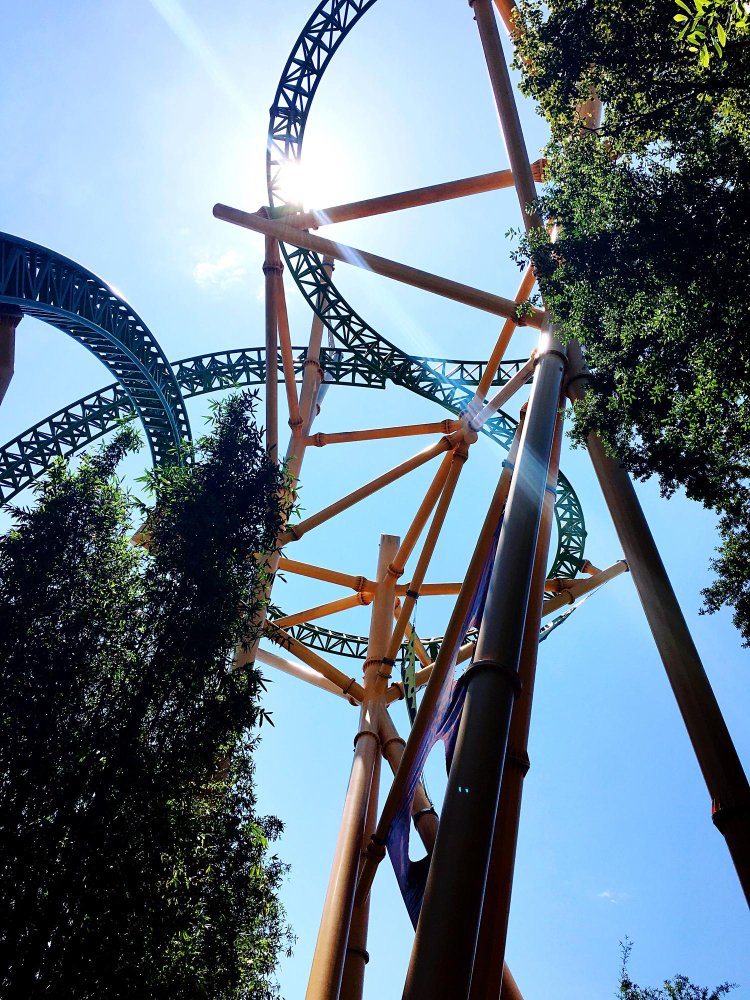 Busch Gardens Tampa Bay
