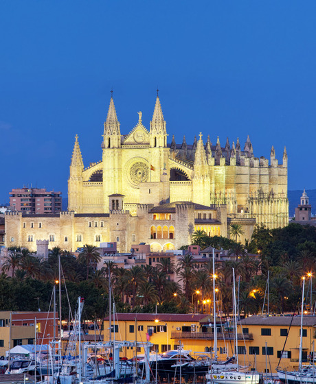 Palma