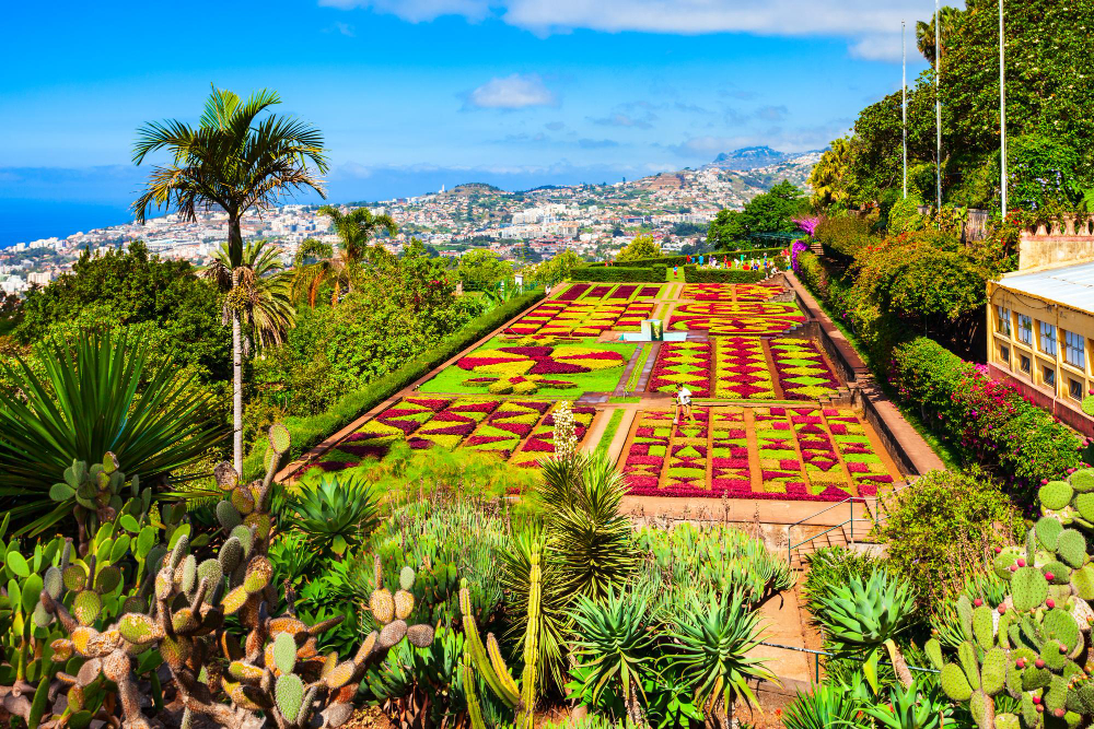 Madeira Botanical Garden