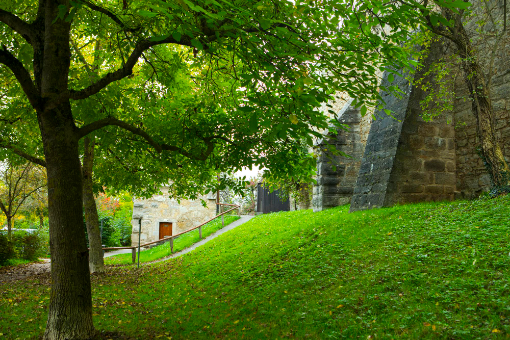 Princes Street Gardens