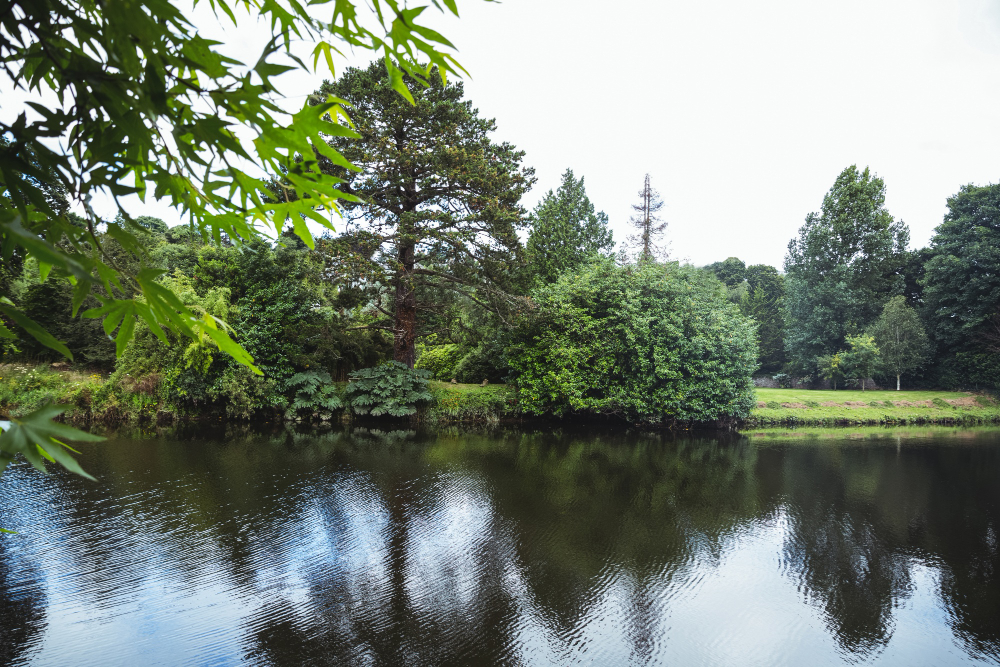 Lettuce Lake Park