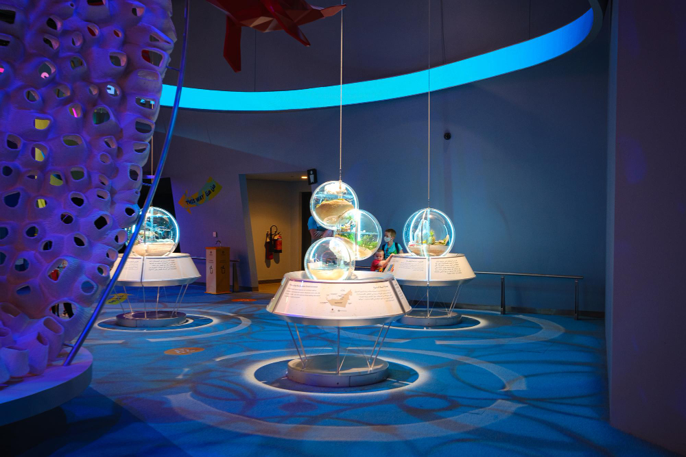 Museum of Science & Industry