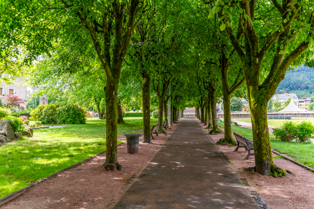 Parc de la Tête d'Or
