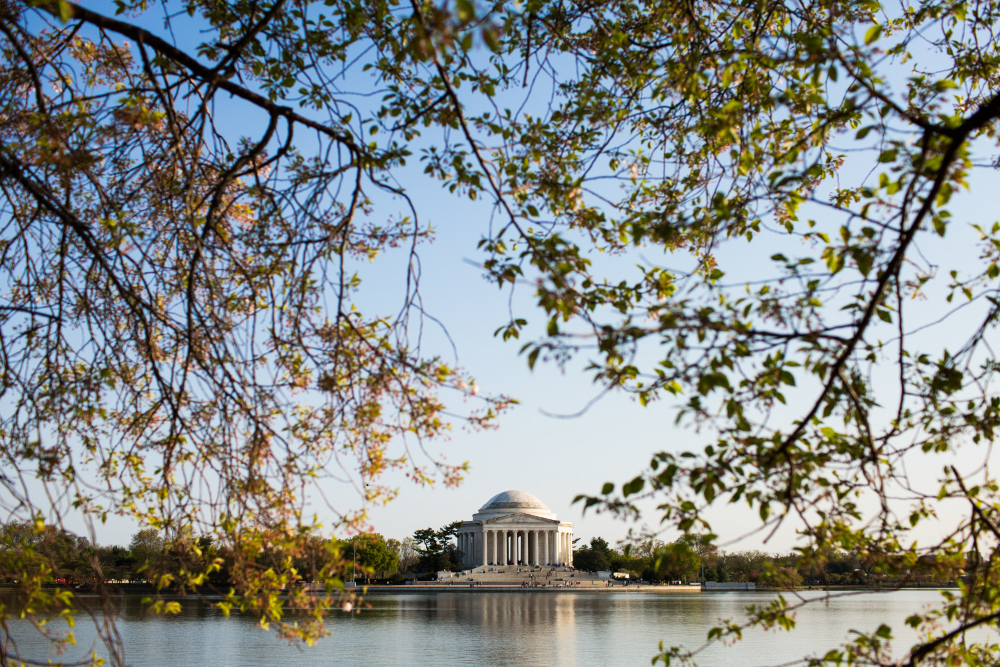 Potomac