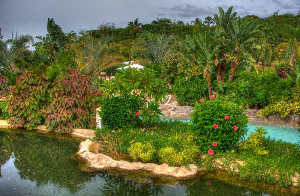 Jungle Park